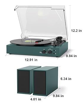 Amazon.com: Vinyl Record Player with Bluetooth and Stereo